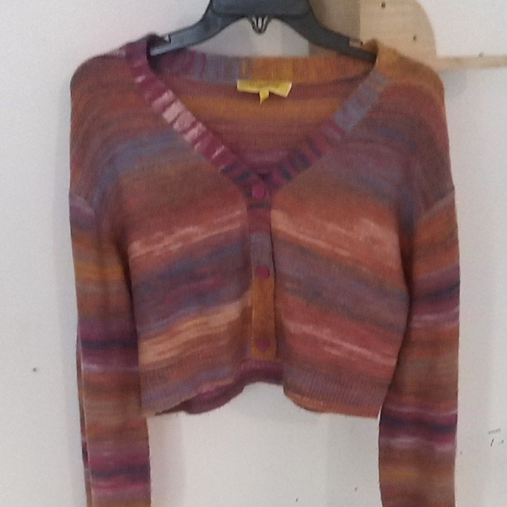 Cropped V-Neck Striped Sweater in Rust Multi by